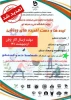 جشنواره 2
