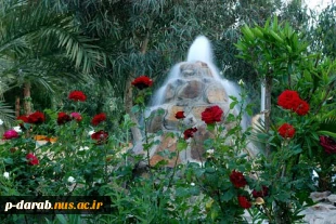 عکس 5