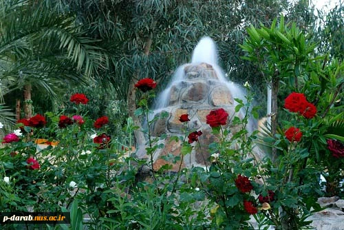 عکس 2