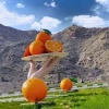 شهرستان داراب