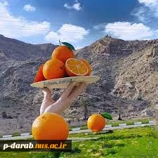 شهرستان داراب